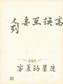 人妻互换高h系列