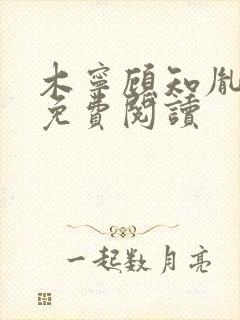 木宁顾知胤小说免费阅读