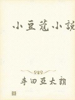 小豆蔻小说