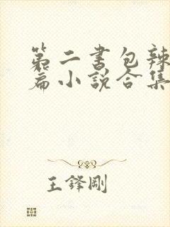 第二书包辣网短篇小说合集