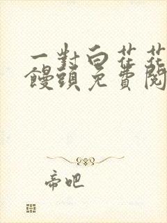 一对白花花的大馒头免费阅读