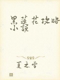 黑莲花攻略手册小说