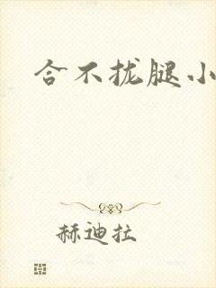 合不拢腿小说