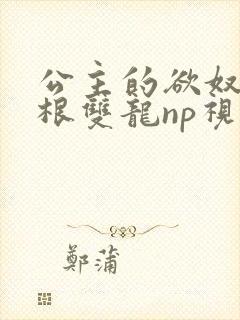 公主的欲奴h四根双龙np视频