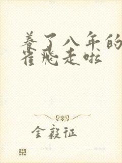 养了八年的金丝雀飞走啦