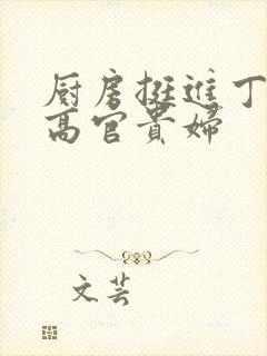 厨房挺进丁字裤高官贵妇