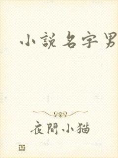 小说名字男生