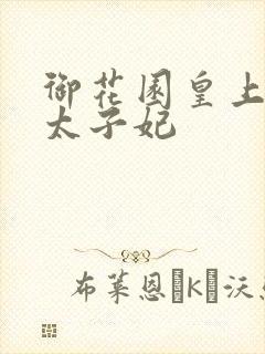 御花园皇上撞着太子妃