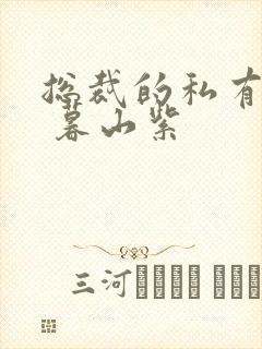 总裁的私有宝贝 暮山紫