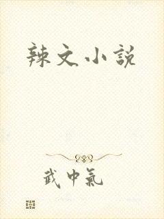 辣文小说