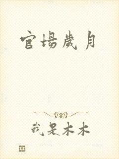 官场岁月