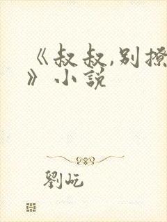 《叔叔,别撩我》小说