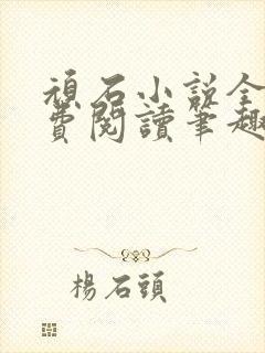 顽石小说全文免费阅读笔趣阁