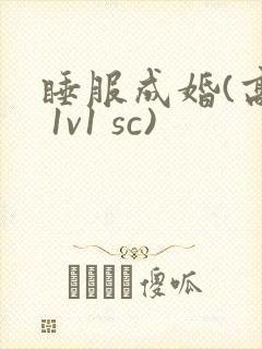睡服成婚(高h 1v1 sc)