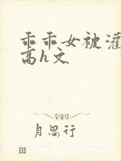 乖乖女被灌满精高h文