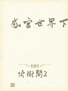 感官世界下载