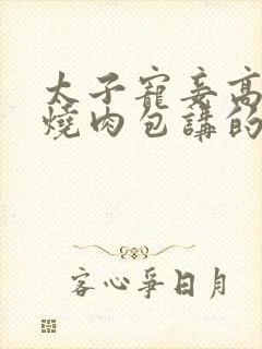 太子宠妾高肉红烧肉包讲的什么