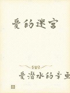 爱的迷宫