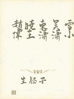 赵晓东吴雪晴郑伟王潇潇小说名字