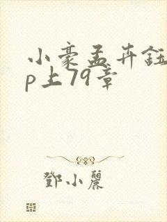 小豪孟卉钰慧三p上79章