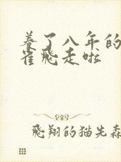 养了八年的金丝雀飞走啦