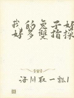 我的兔子好软水好多双指探洞小说