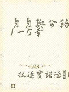 月月与公的激情1一5章