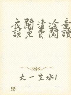 夜阑清冷意欢小说免费阅读