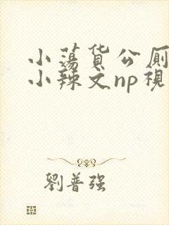 小荡货公厕h文小辣文np视频