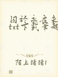囚于永夜未删减txt下载笔趣阁