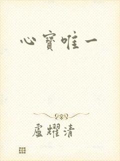 心宝唯一