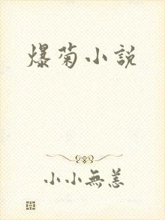 爆菊小说