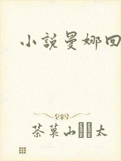 小说曼娜回忆录