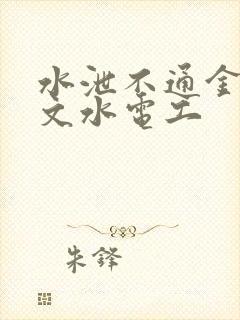 水泄不通金银原文水电工