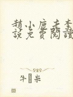 赵小鹿老李的小说免费阅读无弹窗全文