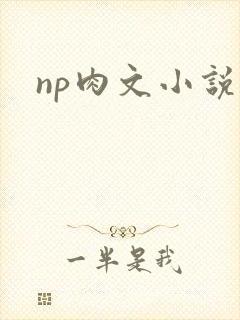 np肉文小说