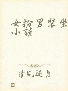 女扮男装坐江山小说