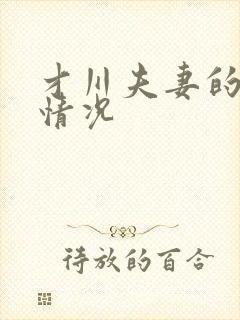 才川夫妻的恋爱情况