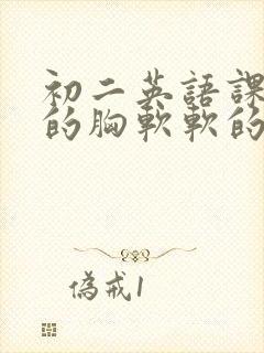 初二英语课代表的胸软软的