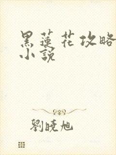 黑莲花攻略手册小说