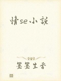 情se小说