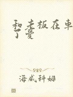 和老板在车里做了爱