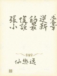 张俊的逆袭之路小说最新章节