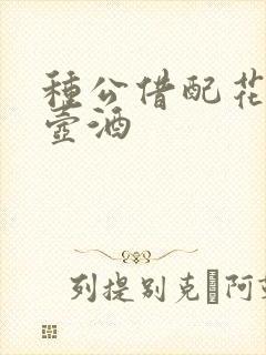 种公借配花间一壶酒