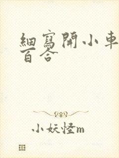 细写开小车车的百合