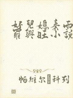 好儿媳秦雨罗明罗兴旺小说