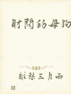 财阀的母狗们