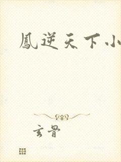 凤逆天下小说