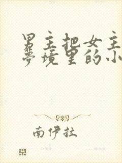 男主把女主拖进梦境里的小说