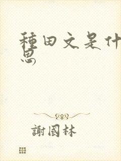 种田文是什么意思